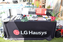 MOMENTUM - MULTI-VENDOR